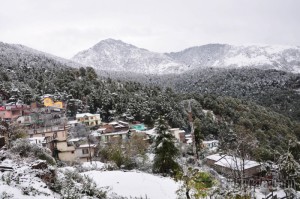 view-of-snow-covered-mcleodganj-town-dharamsala-157360-300x199