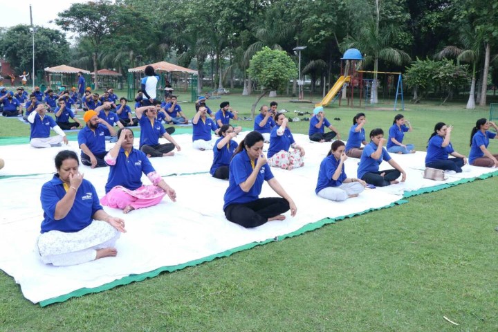 Verka Celebrates International Yoga Day